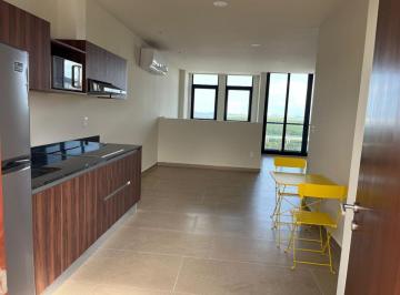 Departamento de 1 habitación, Benito Juárez · Doctores o Ejectivos Cerca de Galenia Loft Frente a La Laguna Sm 11 Av Tulum Alberca Infinity y Mas