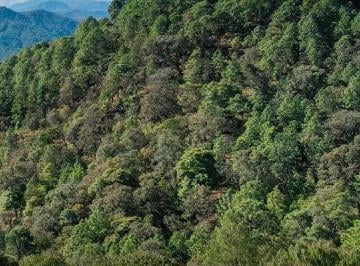 Terreno / Lote , Tapalpa · Terreno en Venta en Tapalpa, Tapalpa Centro Jalisco