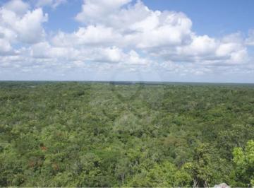 Screen Shot 2024-05-09 at 7.20.06 p.m..png · Dos Ojos: Terreno Residencial en Venta en Tulum