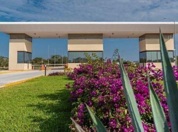 Terreno / Lote , Mérida · Terreno Comercial en Venta| Carretera Mérida - Tetiz| 4, 389.16 m²