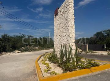 Terreno / Lote · 360m² · Venta. Terreno de Inversión, en El Desarrollo Thalmo. Chicxulub, Puerto. Yucatàn