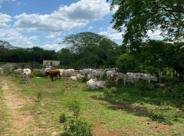 a19d958921f10f4b17a4147d0011d517eb5a9671c5013bb763557b0c72772d2b · Rancho en Izamal Propiedad Privada Sobre Carretera Se Escuchan Ofertas!