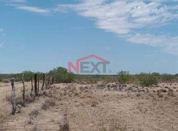 Foto principal · Terreno Agricola en Venta en Pesqueira