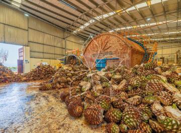 Nave industrial , Tequila · Fabrica Tequilera en Venta en Zona Valles, Tequila, Jalisco.