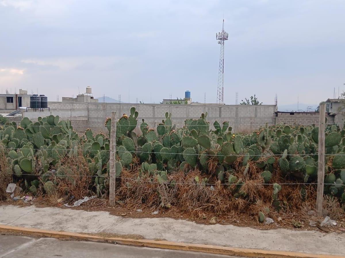 Land for Sale in Singuilucan, Hidalgo