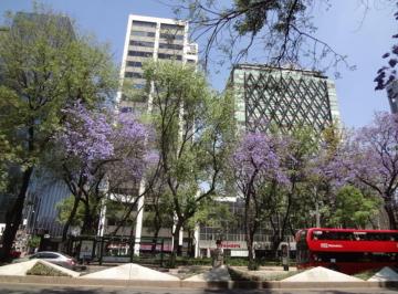 Oficina , Cuauhtémoc · Oficina en Renta Paseo de La Reforma a 3 Cuadras de Insurgentes