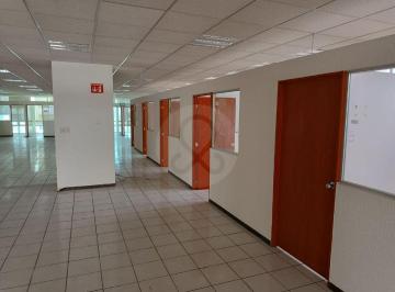 135835.jpg · Oficina en Renta en Anáhuac I Sección