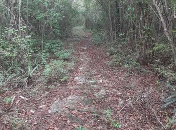 Terreno / Lote · 3200000ha · Terreno en Mérida
