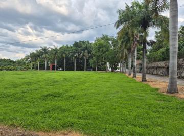 Terreno / Lote , Yautepec · Terreno Escriturado de 3176 m² en Venta en Oaxtepec