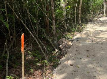 Terreno / Lote , Puerto Morelos · Lote a 15 Min de La Playa en Puerto Morelos - Ruta de Los Cenotes