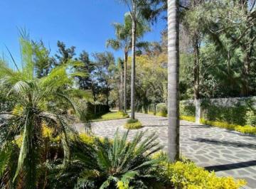 Terreno / Lote · 387m² · Terreno en Fraccionamiento Rancho Cortes