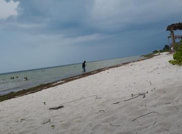 Terreno comercial , Dzemul · Lote a 200 m de La Playa (Playa San Bruno Yucatán)
