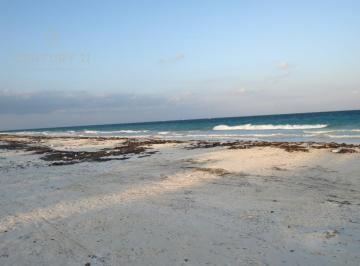 Terreno / Lote · 2000m² · Lote Residencial en Venta Frente Al Mar en Bocapaila | Ideal Para Desarrollar | P1277