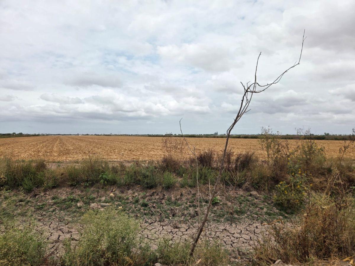 Terreno en Venta, Los Mochis, Sinaloa