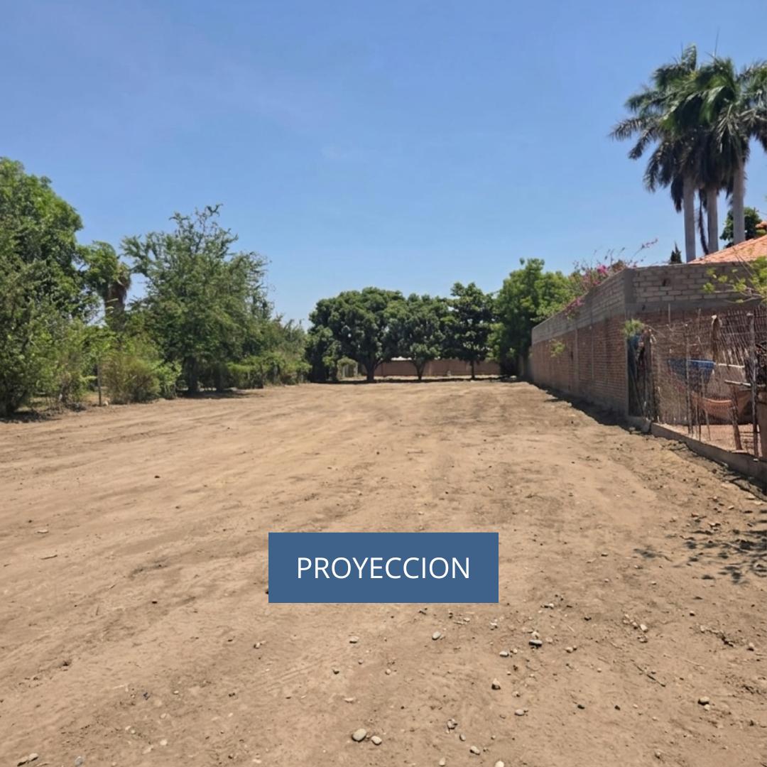Land for Sale in Los Mochis, Sinaloa