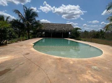 f184f976b6f80f6f5a945c1742fca32a3ee155173e44859622fffe313faba07d · Rancho Cerca de Merida Propiedad Privada Piscina Alberca Luz Sobre Carretera