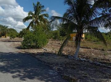4a1480c7357a4aece0f26ed37cc61e50d808170fa789107e308041af4ea50701 · Rancho Tizimin Sobre Carretera Federal