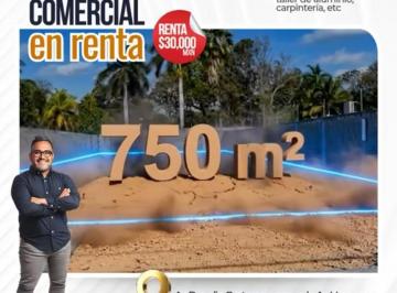 Terreno / Lote · 750m² · Renta - Terreno 750 m² X Av Rogelio Castorena