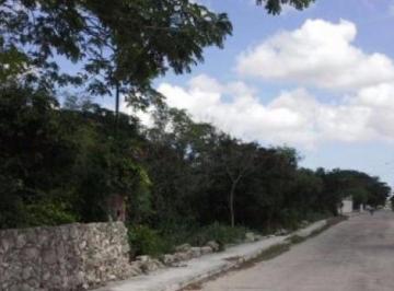Terreno / Lote , Progreso · Terreno en Venta en Paraiso Progreso