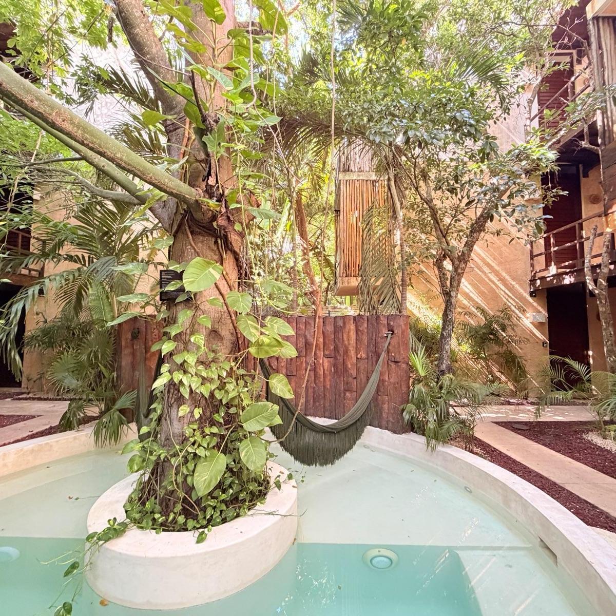 One-Bedroom Apartment - Aldea Zama