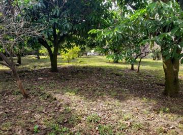 Terreno / Lote · 1530m² · Venta de Terreno Col. 3 de Mayo, Emiliano Zapata, Morelos