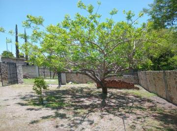 Terreno / Lote · 600m² · Venta de Terreno en Tehuixtla, Jojutla Morelos