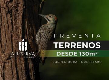 Terreno / Lote · 130m² · Terrenos en Preventa
