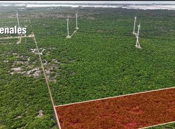 Terreno / Lote , Progreso · Terreno en Venta en Progreso
