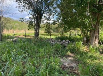 7a690658af3ba5c19d94c0449f2b5e40b5acacc18ca39f6afd44a9b564a92e5f · Rancho en Cantamayec 633 Ha Propiedad Privada con Luz y Sobre Carretera