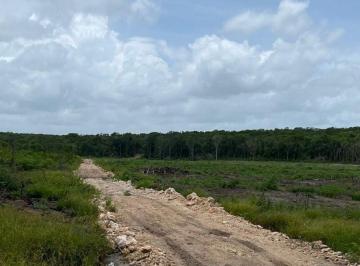 6c05e9100e936dc98c678c3e76ea18cb8d881c43f9752474eb3211c4832ea80a · Rancho en Tekax 482 Ha Propiedad Privada