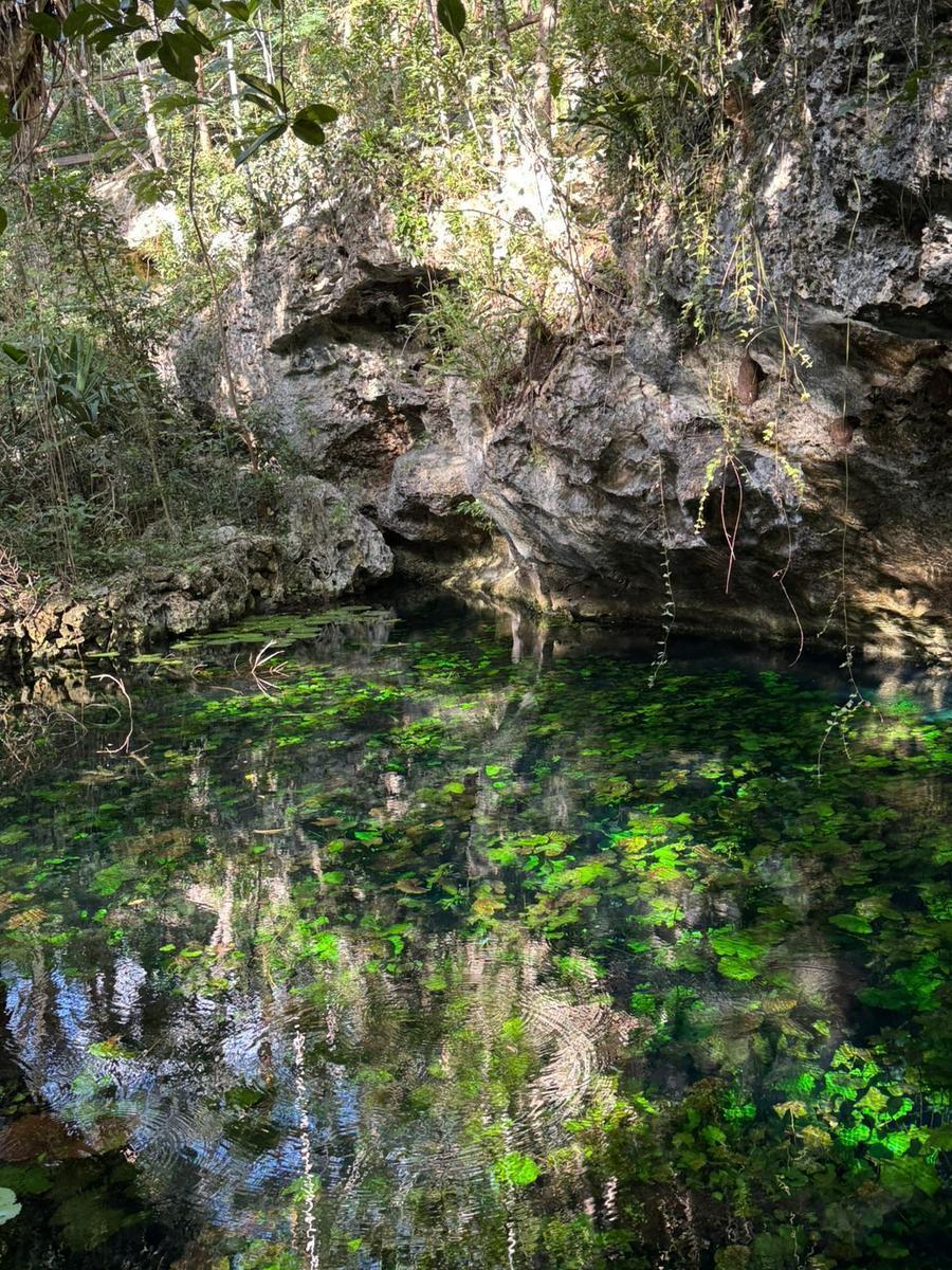 Available Hectares for Tourism Development and Eco-Projects in the Riviera Maya