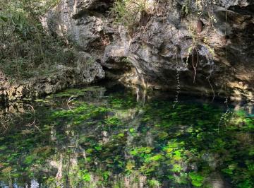 Terreno / Lote · Hectáreas Disponibles Para Desarrollo Turístico y Eco Proyectos en La Riviera Maya