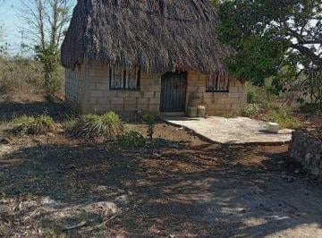 d13ce35ed0b5cb60d200c2a98740eee8e686e13077becf7aa34e889f3b6a3e18 · Rancho con Cenote Cerca de Mérida, en Buctzotz Yucatán, Zona Ganadera 31 Ha