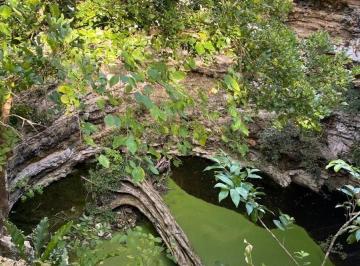 bdfc6d67ca0481edf1a83f4f3a2aac347bb7fb8ab3f4ca2a012bdbdc9ed4b1bd · Rancho con Cenotes y Casa Antigua en Sotuta de 489 Ha Propiedad con Luz