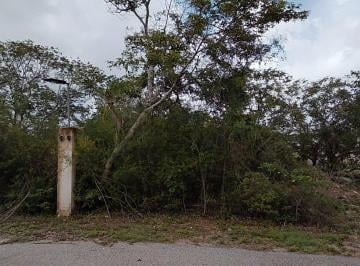 Terreno / Lote , Conkal · Lotes Residenciales en Venta – Conkal