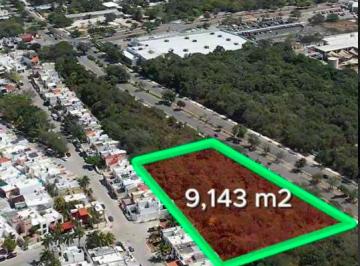 Terreno / Lote , Solidaridad · Terreno de 9143 m² en Venta en Playa del Carmen