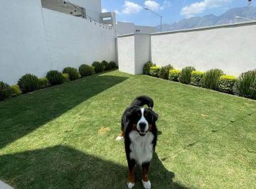 77d2e971c57bb273a1734bffeffbe9b29f2c52eb27ac7e6fa8c663fea9d12973 · Venta Casa - Priv. Montejo - $10,400,000pesos