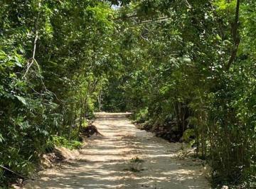 Terreno comercial 10000m² Venta Puerto Morelos · Venta de 1 Hectarea - Central Vallarta