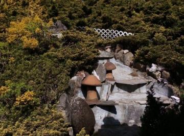 Casa de 3 habitaciones, Tlalpan · Vendo Casa con Pista de Salgo en Santo Tomas Ajusco