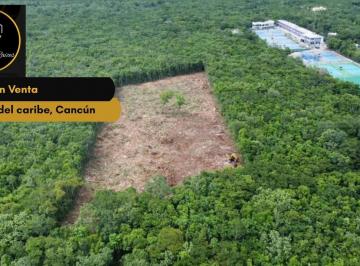 Terreno / Lote · 10000m² · Terreno en Venta, Bosques del Caribe, Cancún