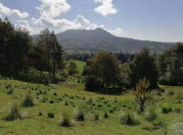 Terreno / Lote , Huitzilac · Gran Terreno en Tres Marias