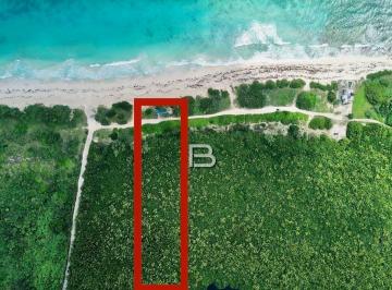 Terreno / Lote · 2000m² · Venta de Terreno con Frente de Playa en Puerto Morelos