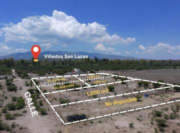 N/A · Terreno de 1,000 m² Frente a Viñedos San Lucas