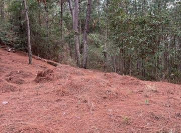 1.JPG · Terreno Residencial en Venta en Pueblo Mazamitla