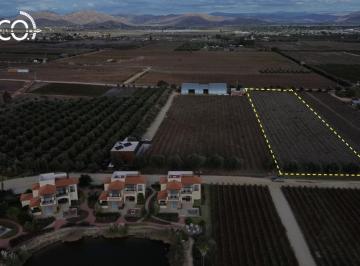 Terreno / Lote · 10000m² · Terreno en Venta