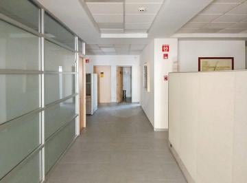 Oficina · 554m² · 70 Estacionamientos · Oficina en Renta en Rincones de Santa Rita Virreyes