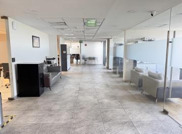 Oficina · 323m² · 3 Recámaras · 5 Estacionamientos · Oficina en Renta en Polanco