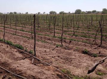 Rancho · 550000m² · Rancho en Dolores Hidalgo Cuna de La Independencia Nacional