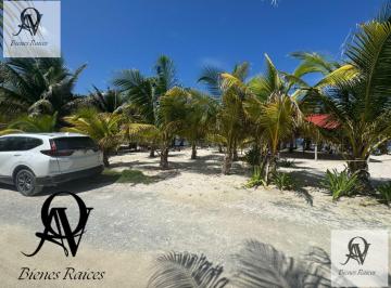 Terreno / Lote · 1117m² · Venta de Terreno Mahahual. Q. roo