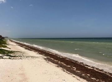 Terreno / Lote , Telchac Puerto · Terreno en Venta Frente a La Playa de Telchac Puerto